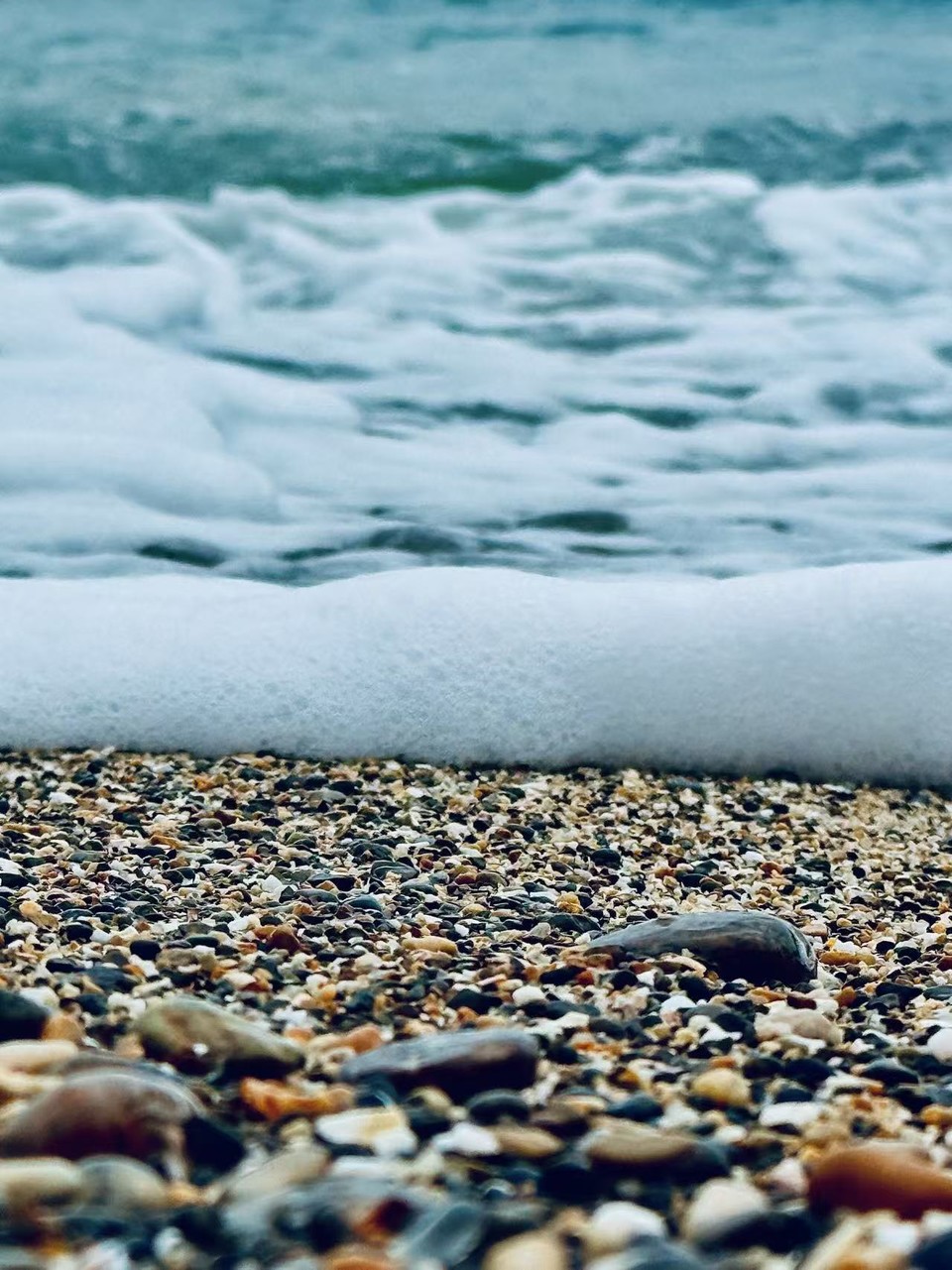 微信图片_20260208133530_45_5453