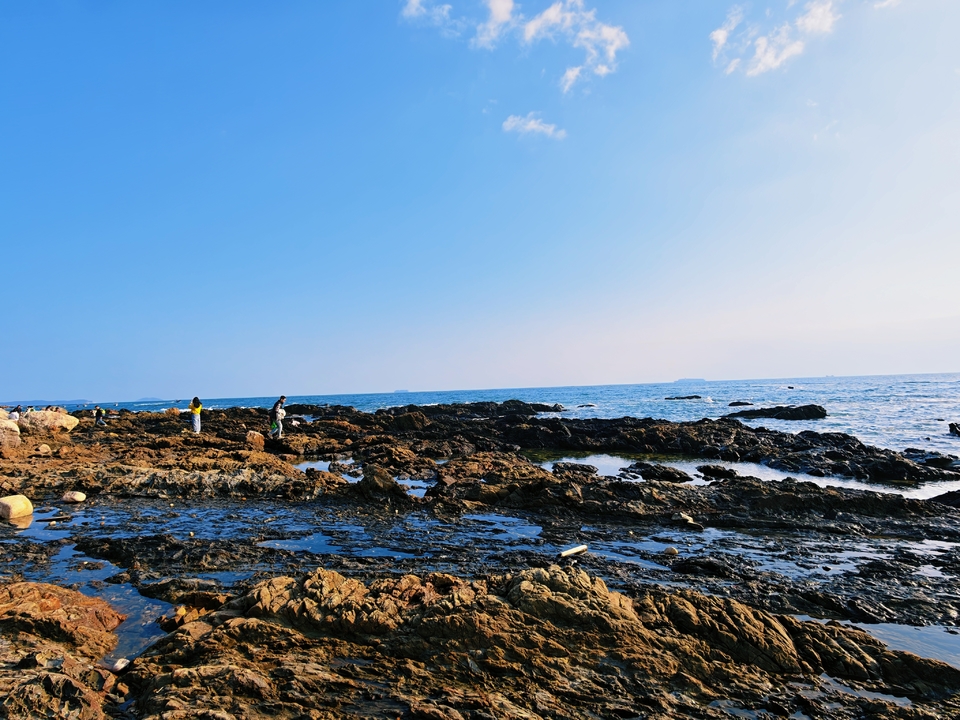 微信图片_20260208171250_150_5453