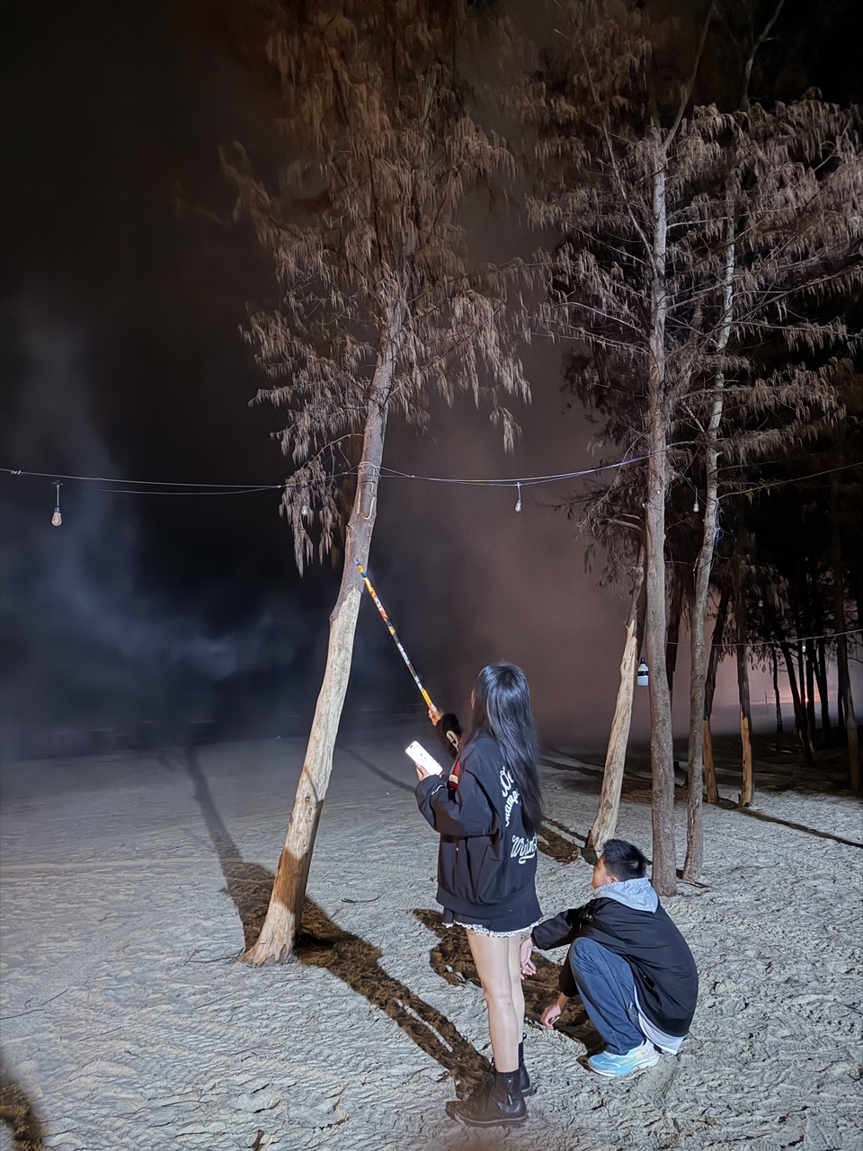 微信图片_20260216223238_168_5530