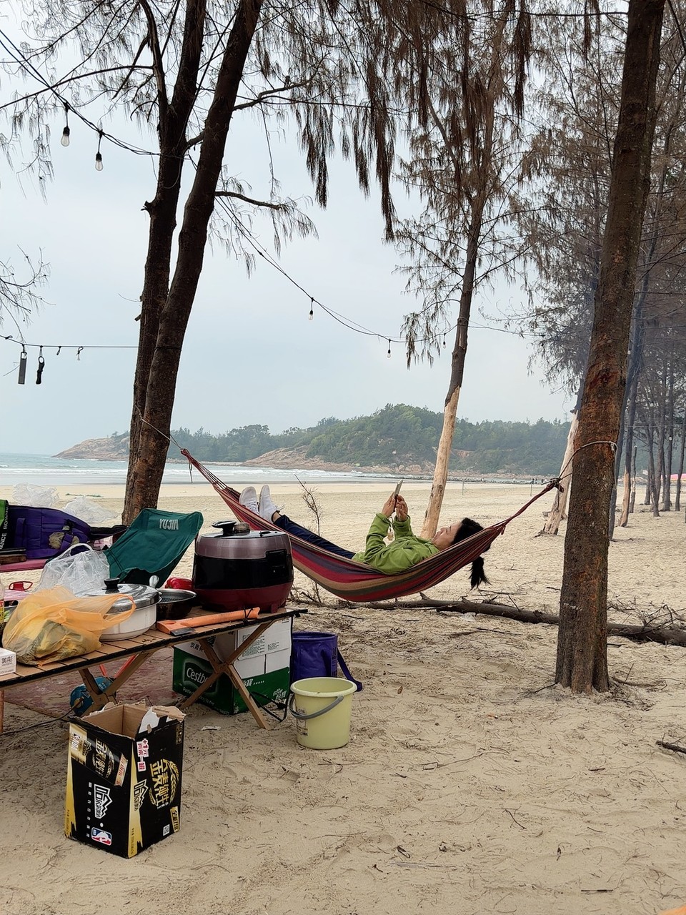 微信图片_20260217111137_210_5530