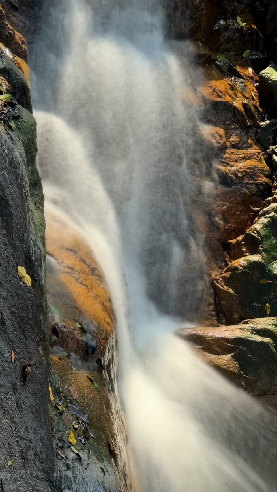 微信图片_20260223113854_592_5604