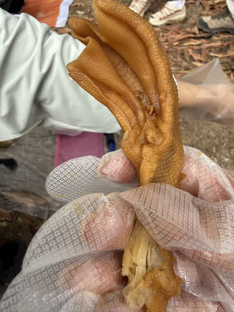 微信图片_20260223124958_606_5604