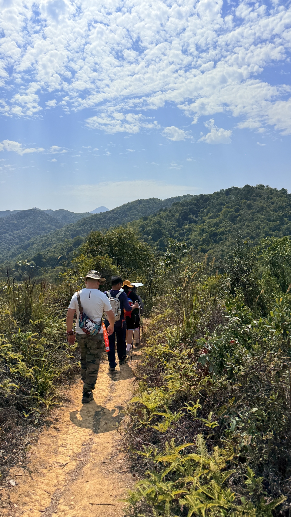 微信图片_20260223140259_652_5604