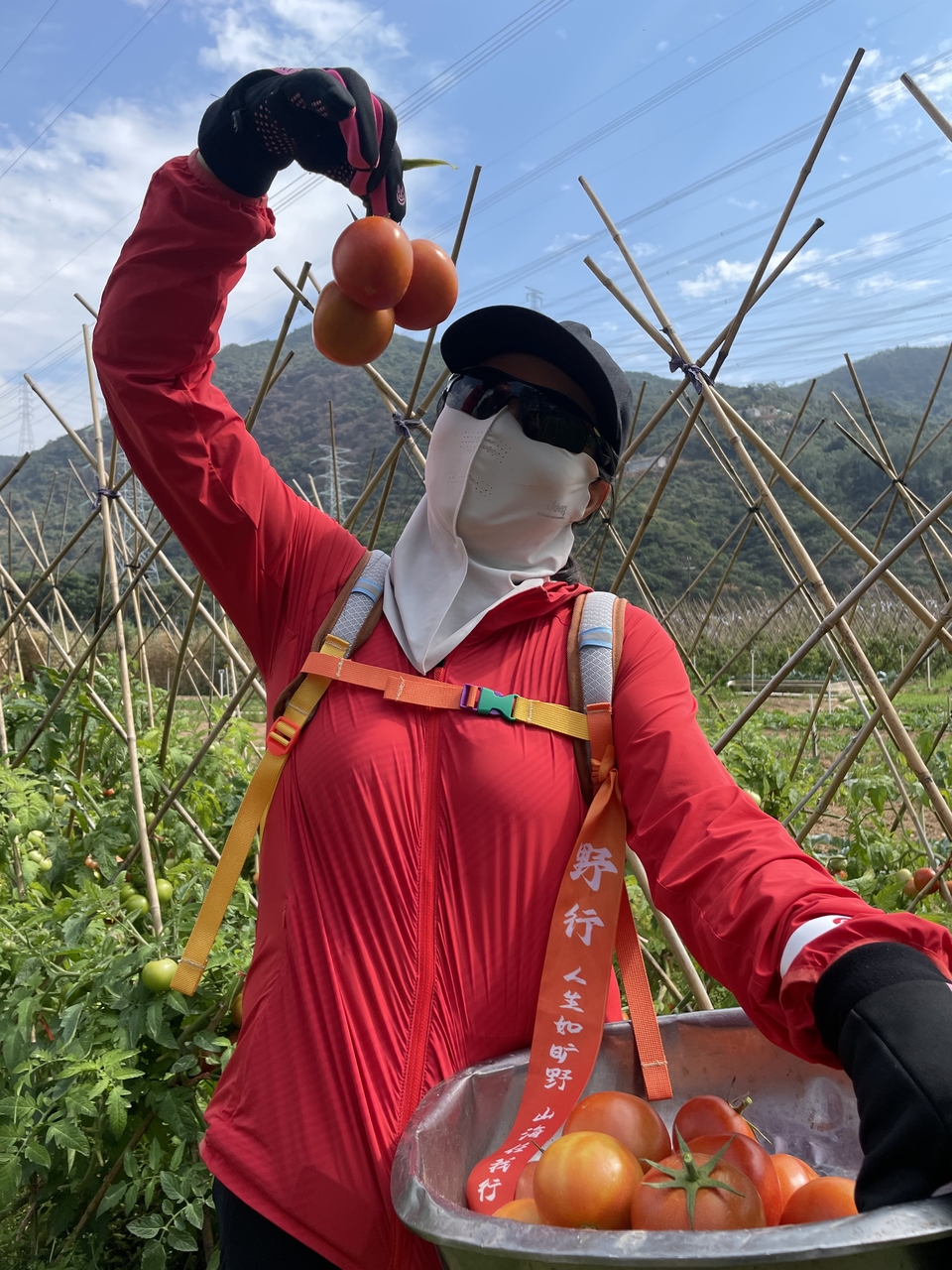 微信图片_20260223140823_657_5604