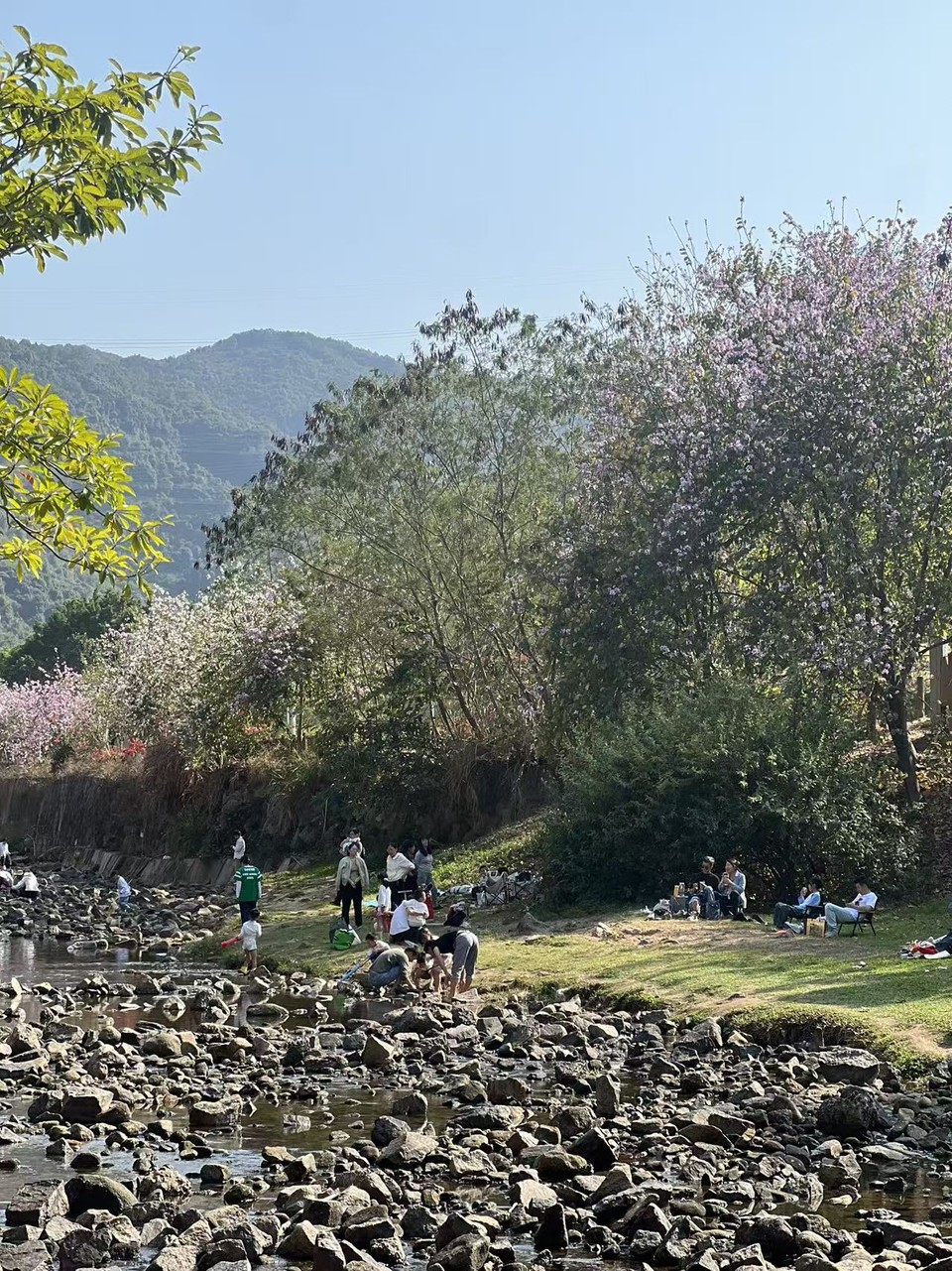 微信图片_20260223151441_727_5604