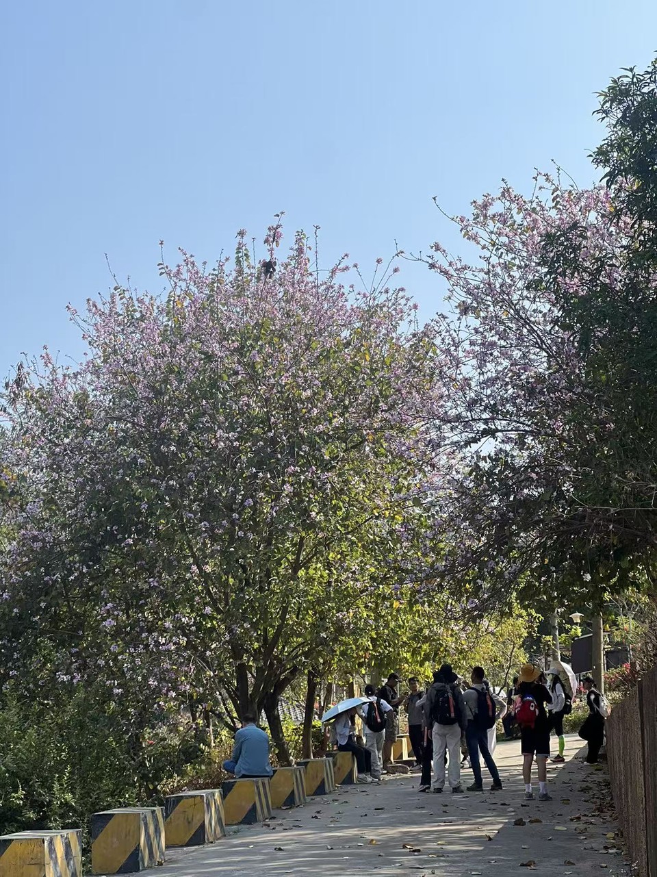 微信图片_20260223151443_729_5604