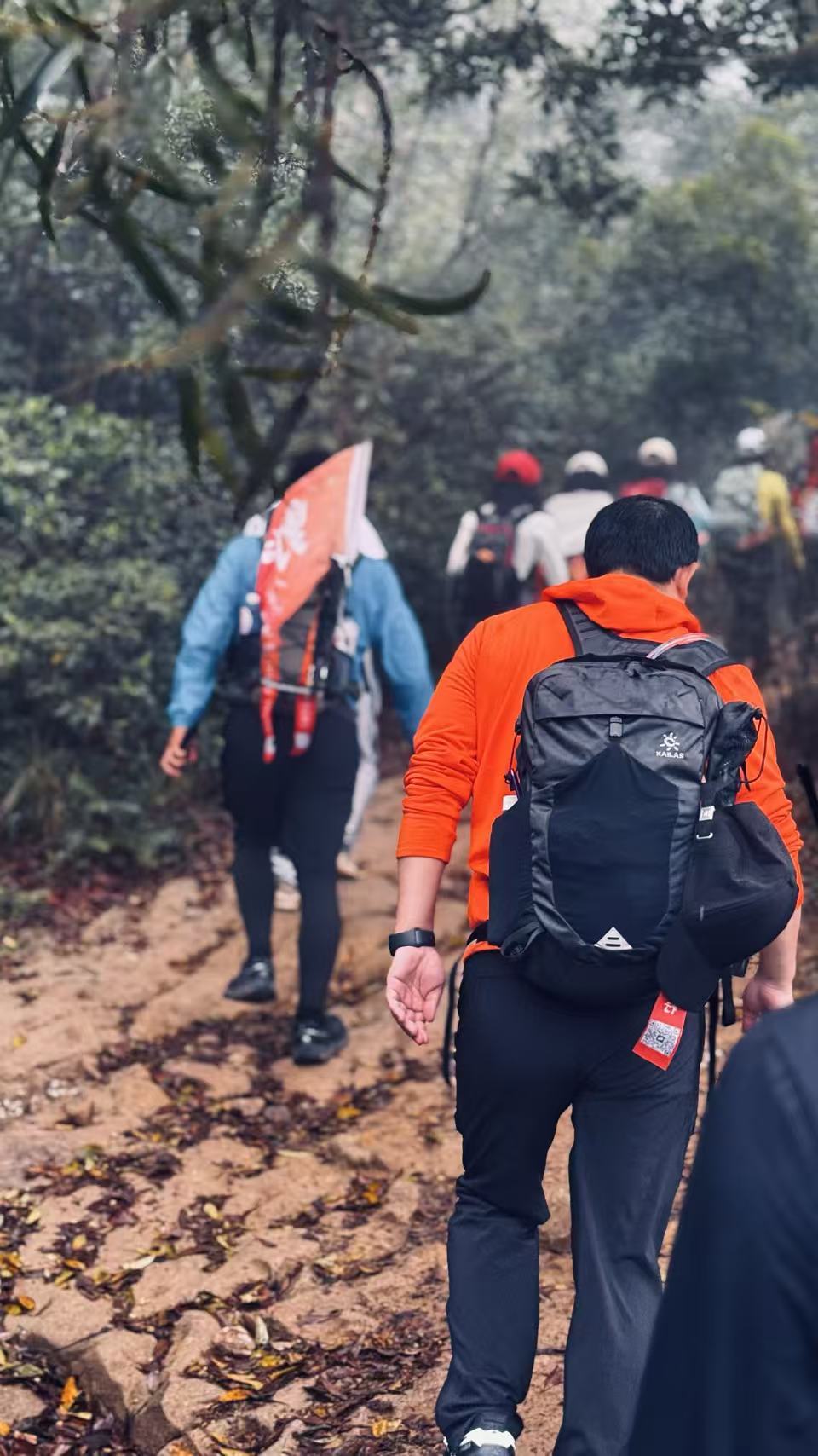 微信图片_20260301163800_875_5652