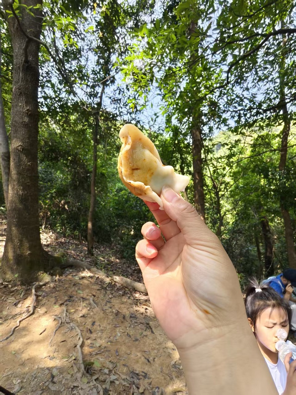 微信图片_20260308123835_921_5630