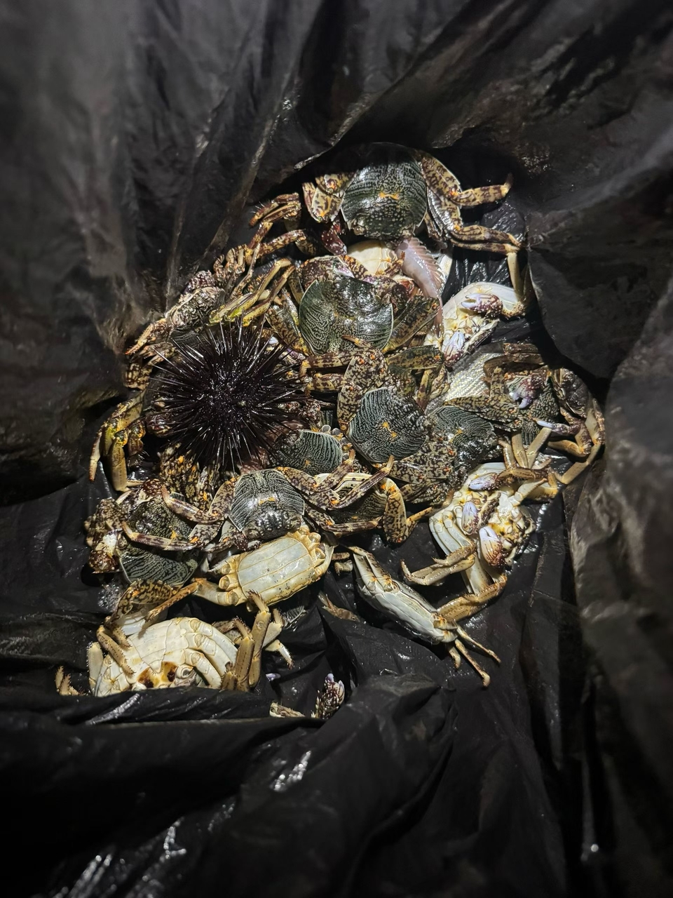 微信图片_20260310135525_181_352