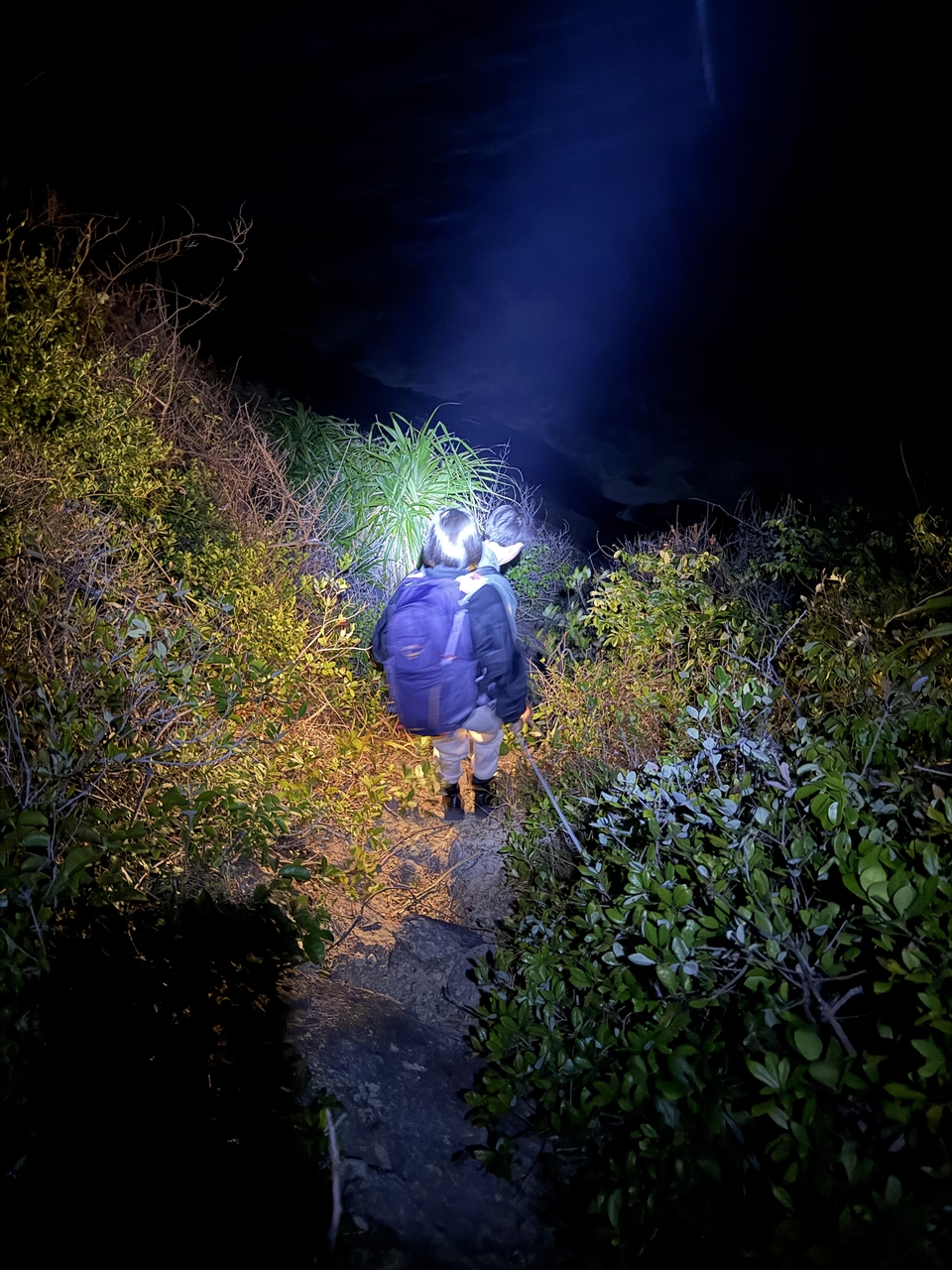 微信图片_20260310135530_184_352