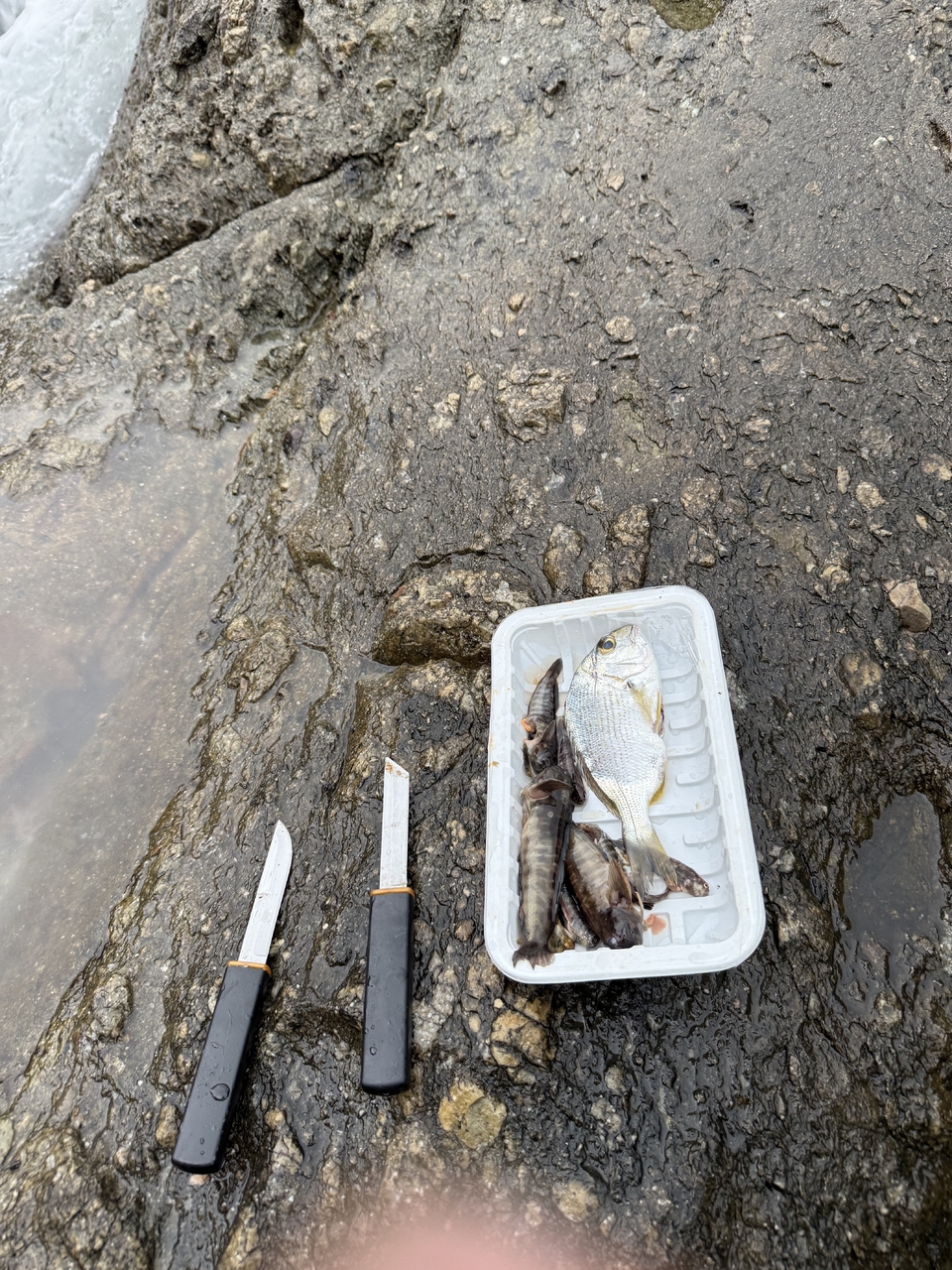 微信图片_20260310135533_186_352