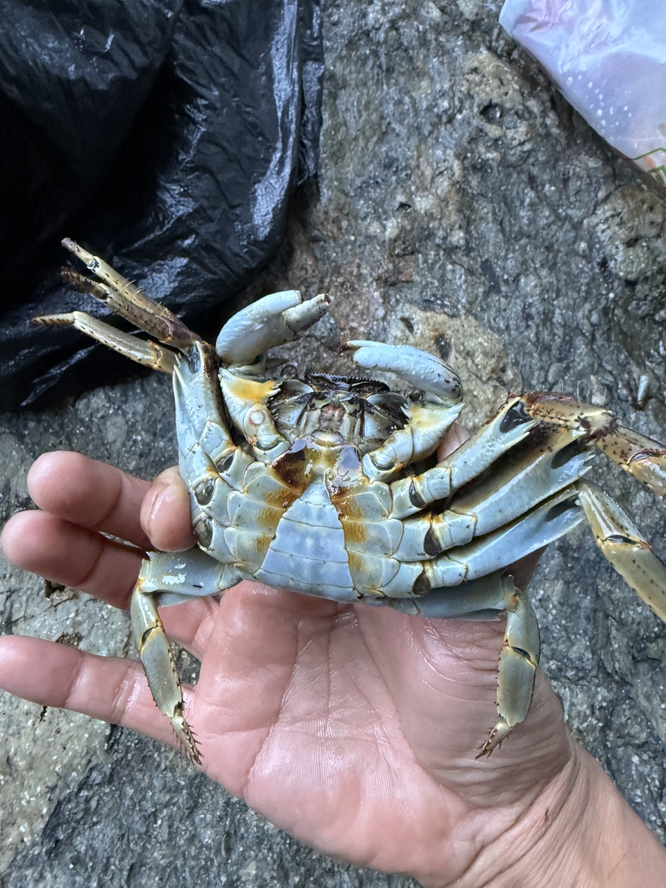 微信图片_20260310135535_187_352