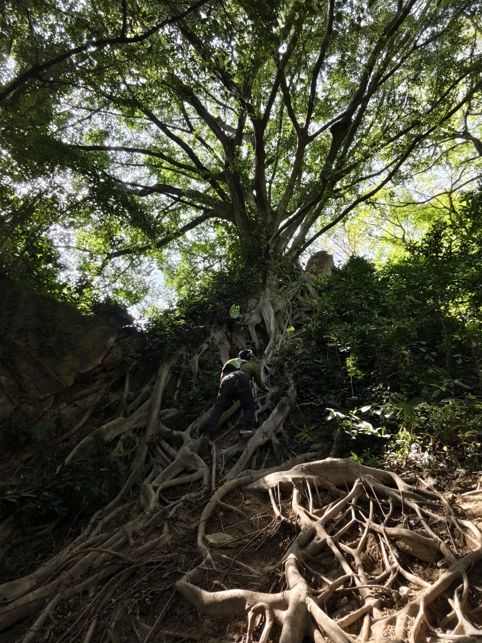 微信图片_20260314155437_742_5860