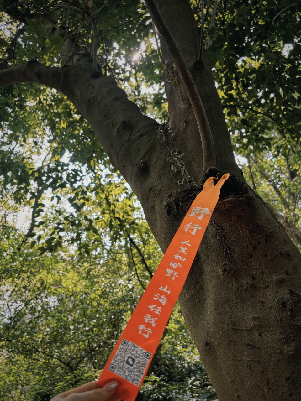 微信图片_20260314175710_869_5860