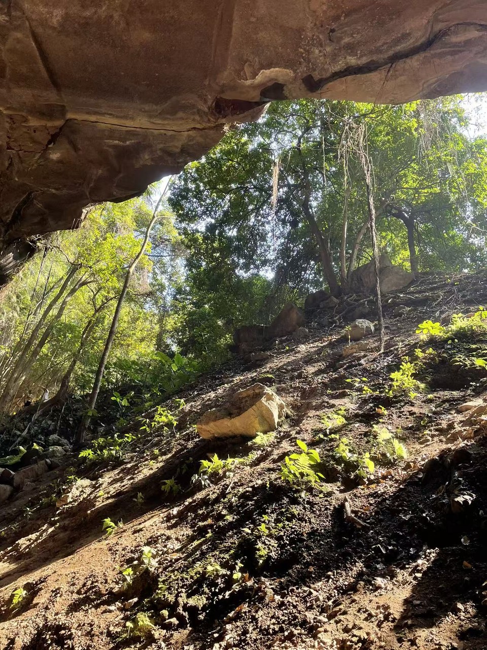 微信图片_20260314205116_1217_5860