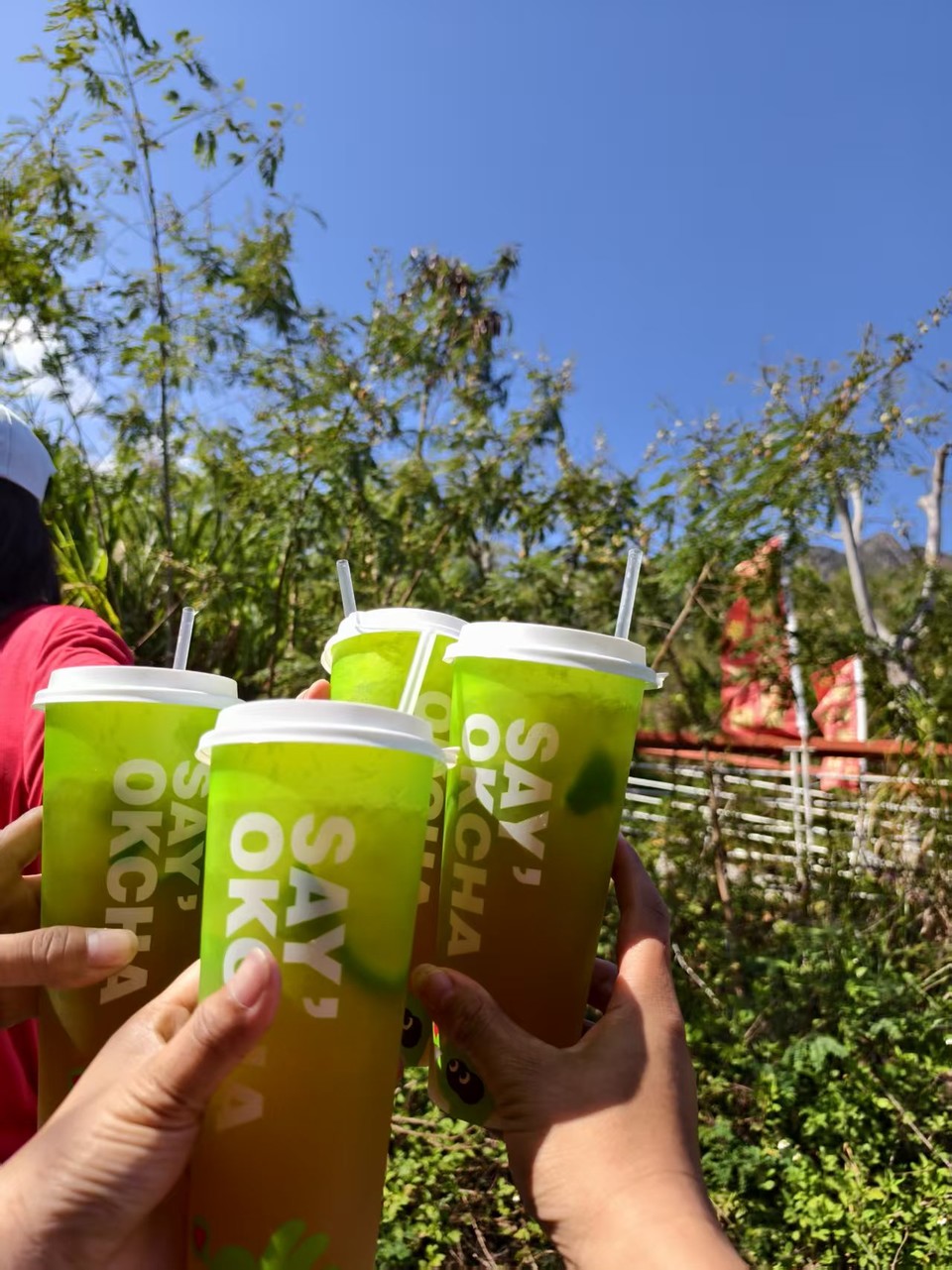 微信图片_20260315145009_240_5903