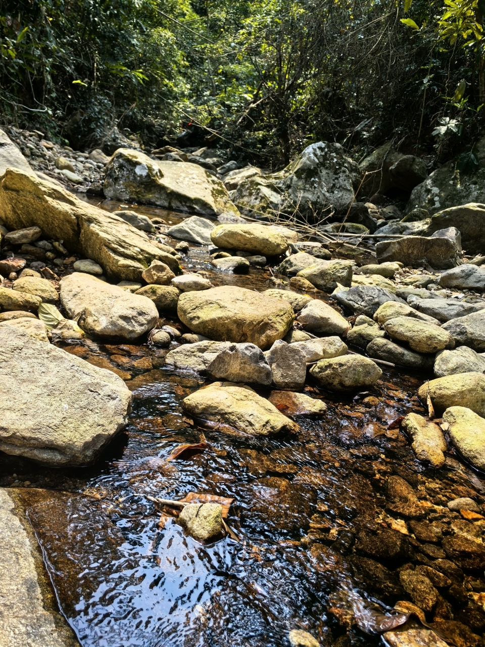 微信图片_20260320180101_1082_5970