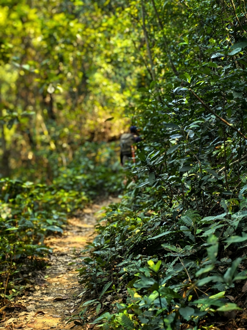 微信图片_20260320180121_1086_5970