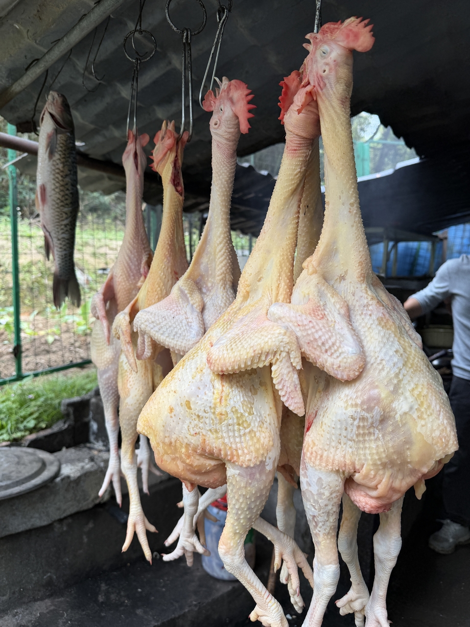 微信图片_20260321121612_300_5975