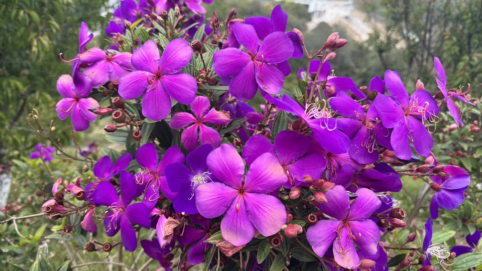 微信图片_20260321123226_320_5975