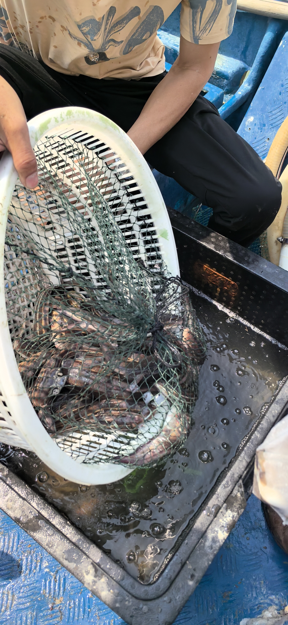 微信图片_20260322140722_521_5976