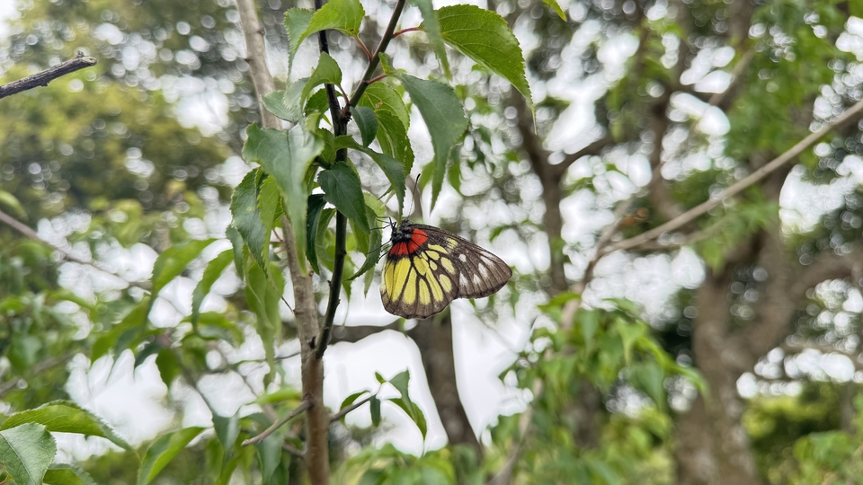 微信图片_20260321123228_321_5975