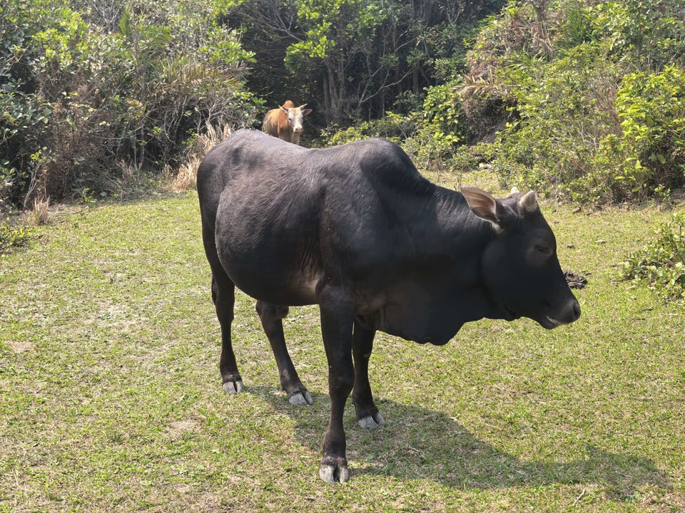 微信图片_20260322195634_163_6044