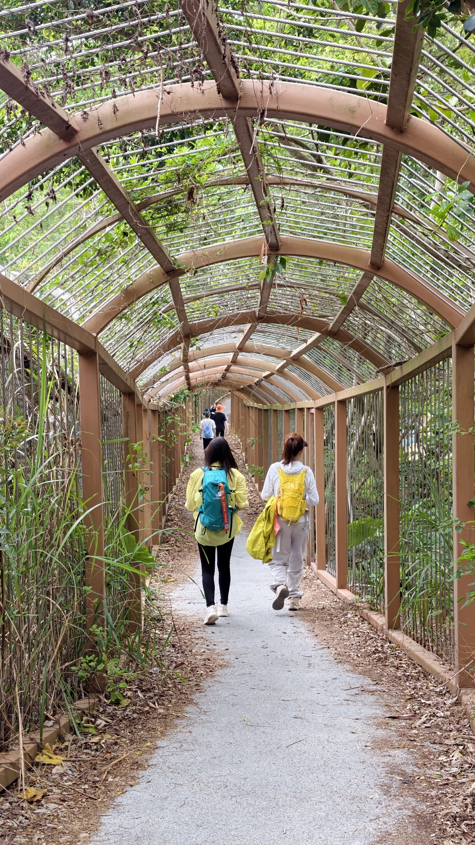 微信图片_20260321164719_531_5975