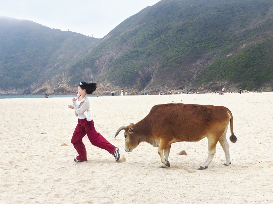 微信图片_20260328130652_264_6062