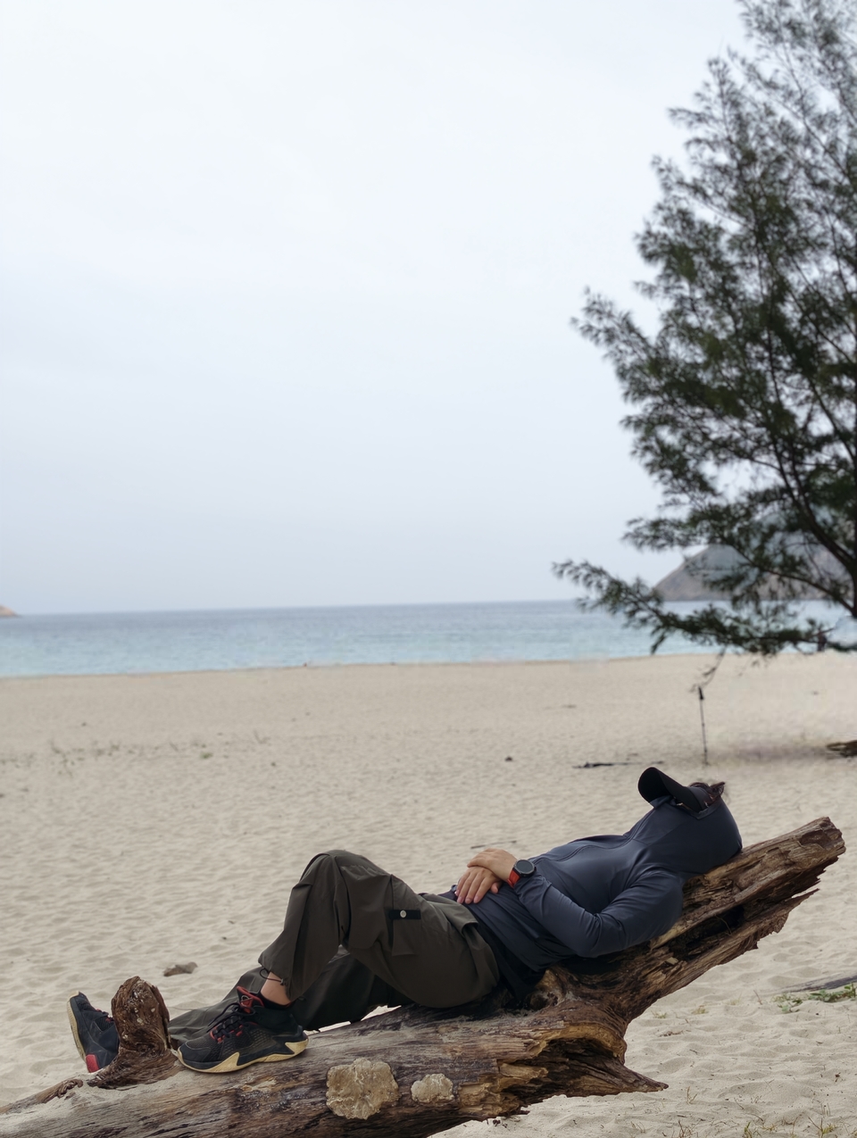 微信图片_20260328134923_296_6062