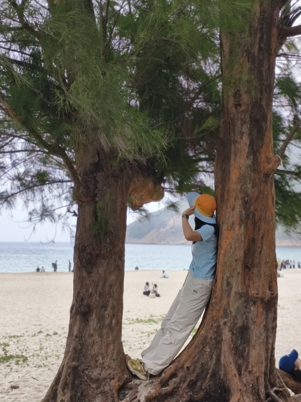 微信图片_20260328174053_376_6062