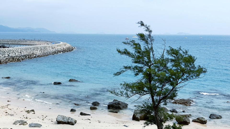 微信图片_20260329113139_771_6080