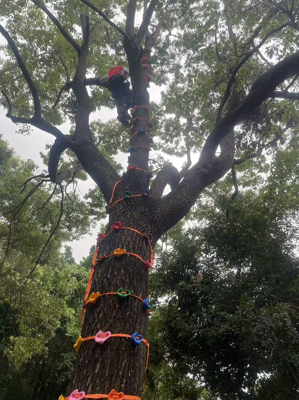 微信图片_20260329143725_99_6093