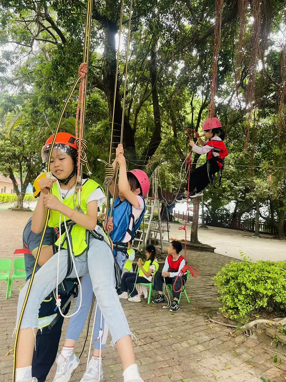 微信图片_20260329163318_105_6093