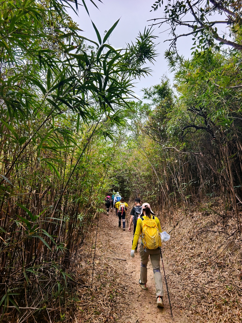 微信图片_20260329135853_248_6058