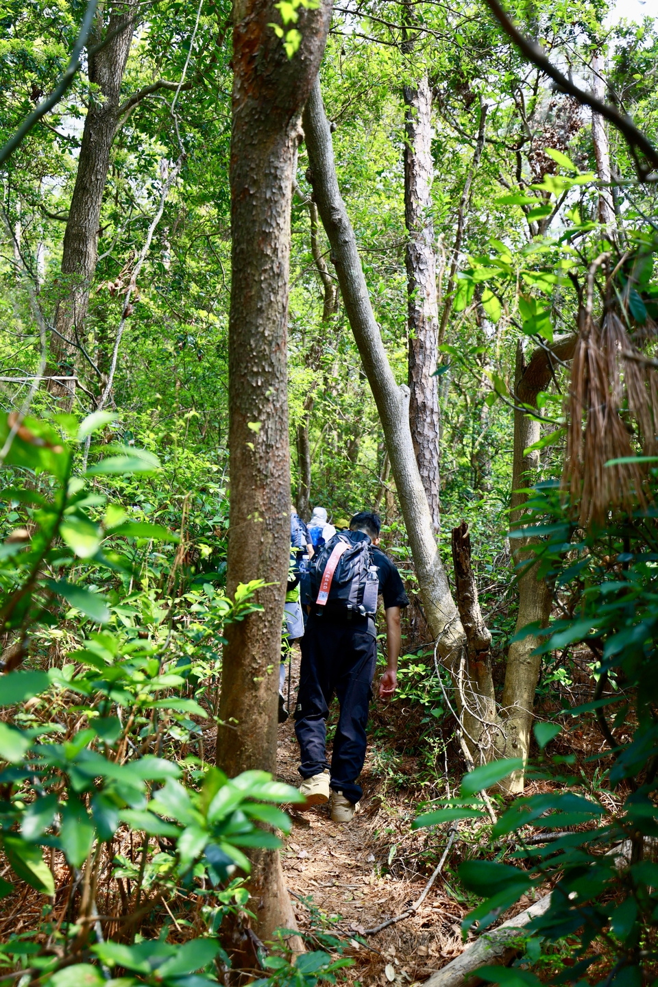 微信图片_20260329185624_365_4057