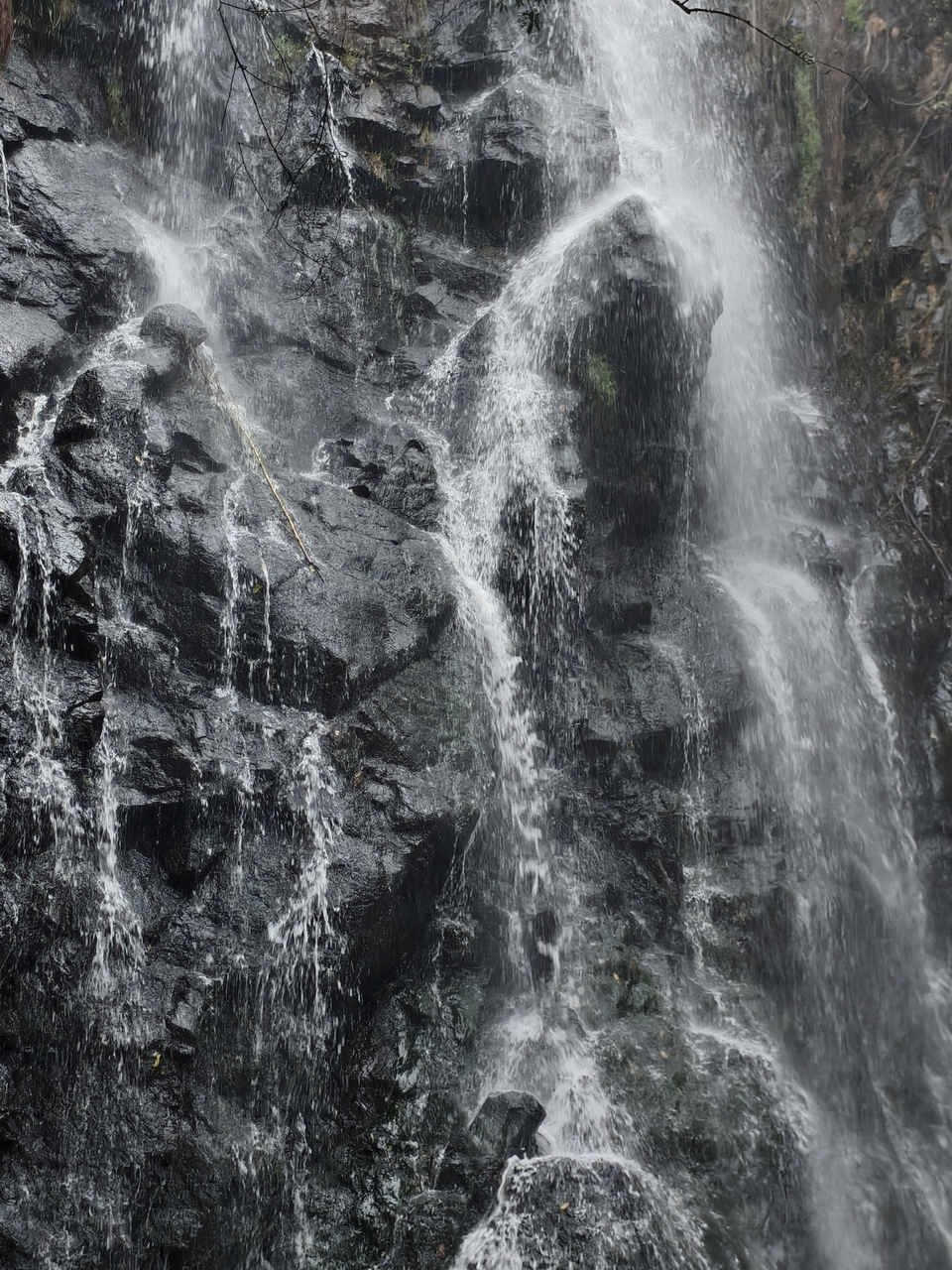 微信图片_20260404131211_593_6170