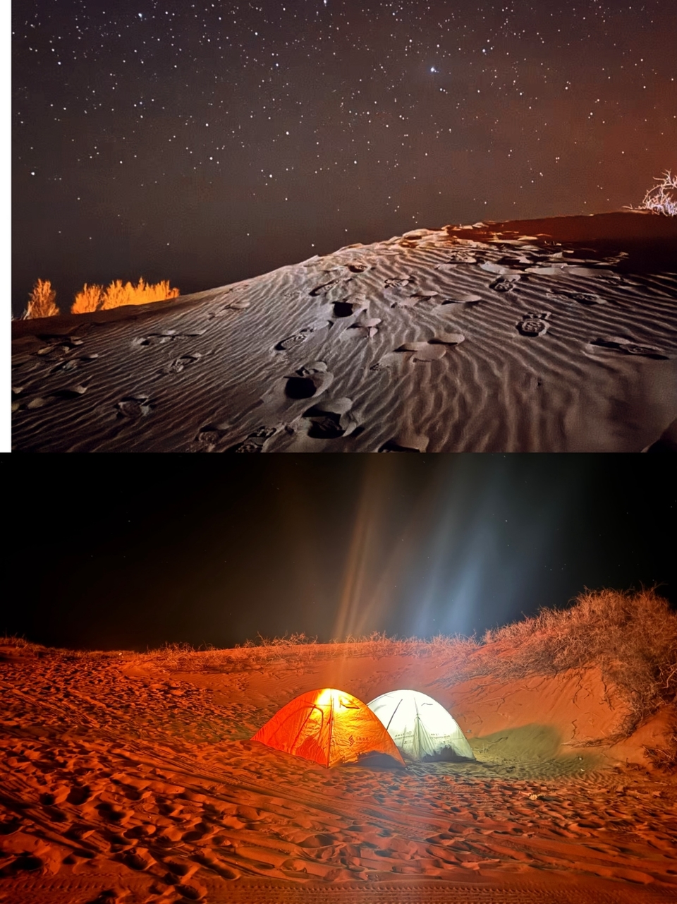 微信图片_20260406174832_37_5882