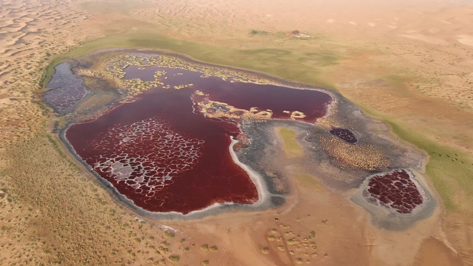 微信图片_20260406154545_977_6092