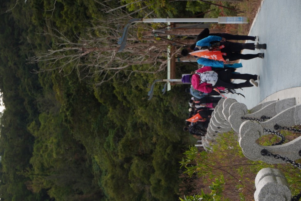 ec1fcc798cb9628ca922dc4cfc534bca