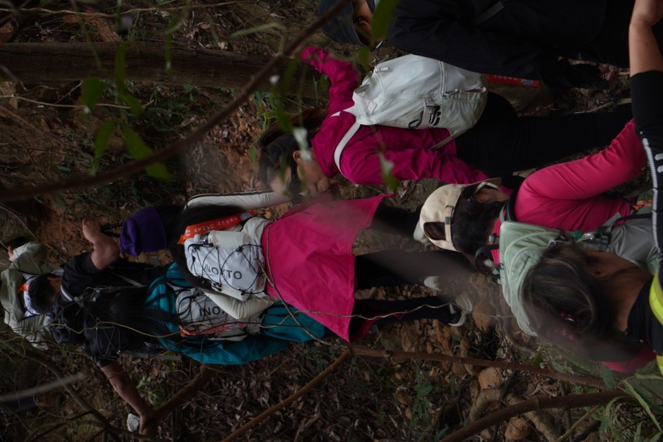 f93087875809738c0631512a2d0a3ebd