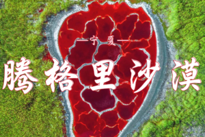 4.04-06  腾格里沙漠  | 经典3天2晚徒步穿越 | 专业领队·轻装出行·打卡地球心脏