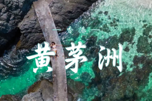 4.26  香港黄茅洲海岛戏水 | 潜水&桨板&沙滩派对，让我们一起奔赴蔚蓝，解锁夏日的第一场海岛冒险！​