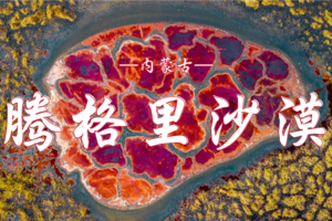 5.02-04  第二期 腾格里沙漠穿越  | 打卡地球心脏 | 专业领队 轻装出行 保障车全程跟随