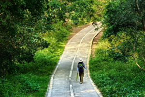 8.03 马峦山轻徒步+风味农家菜