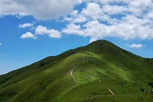 8.16（香港）鸡公岭穿越 | 探秘“香港小瑞士”| 360°无敌山脊线 | 原始野径 | 与蓝天青草为伍