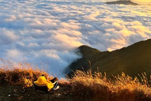 8.16-8.17 （惠州）大南山奇幻之夜 | 绝美云海日出 | 共赴金山草甸星空徒步之旅！