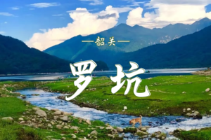 10.03-04 韶关罗坑2天1夜星空露营趴 | 深圳出发2.5h  草原撒野/岩洞探秘/星空BBQ/河畔休闲