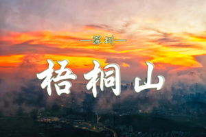 10.01 黄金周特别活动｜登梧桐·赏日落·邂逅鹏城之巅