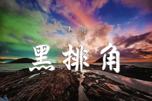 3.21  惠州黑排角徒步穿越 | 8KM海岸线环线·亲子友好！